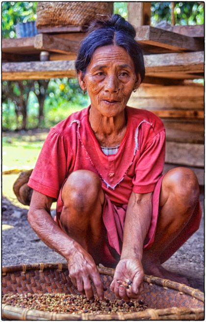 Sorting coffee beans, Philippines - Gerry Atkinson