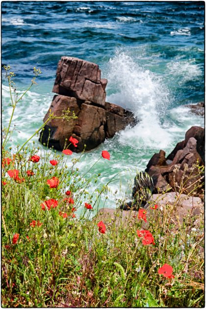 Rocks and Poppies-Sozopol-Gerry Atkinson