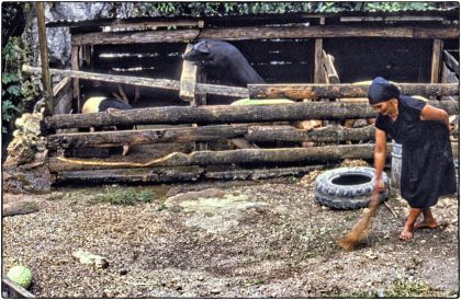 Woman and pig, Philippines - Gerry Atkinson