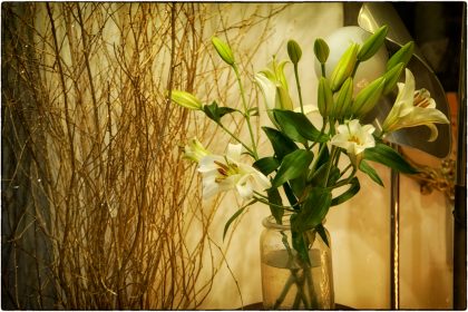 Whitstable Window- Gerry Atkinson