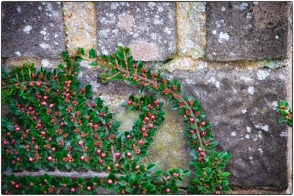 Slow Walk Textures - Gerry Atkinson