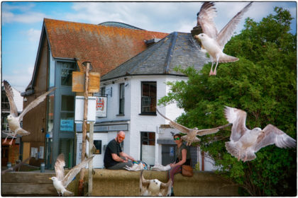 Gulls & Fish and Chips- Gerry Atkinson