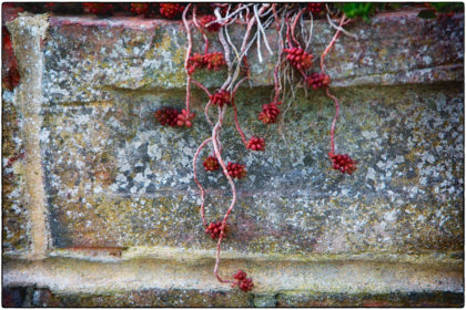 Slow Walk Textures - Gerry Atkinson