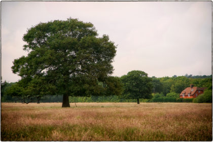 Victory Wood -  Gerry Atkinson