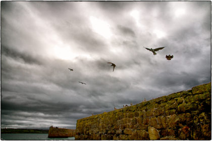 Mousehole Harbour - Gerry Atkinson