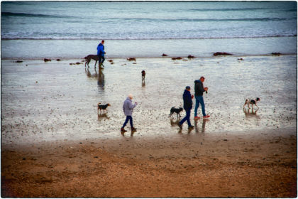 Dusk Dog walkers, Penzance - Gerry Atkinson