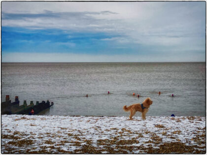 Whitstable Snow - Gerry Atkinson