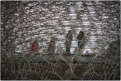 The Hive.Kew Royal Botanic Gardens-  Gerry Atkinson 