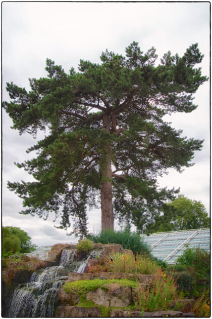 Kew Royal Botanic Gardens-  Gerry Atkinson 