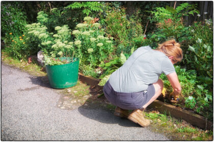 Guerilla Gardening Whitstable - Gerry Atkinson