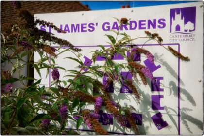 Guerilla Gardening Whitstable - Gerry Atkinson