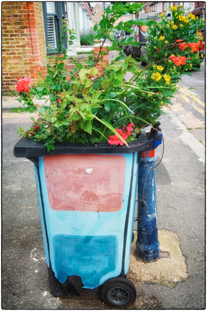 Guerilla Gardening Whitstable - Gerry Atkinson