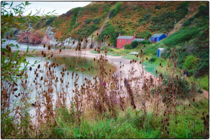 Cove Harbour - Gerry Atkinson