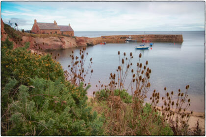 Cove Harbour - Gerry Atkinson