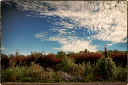 Floors Castle Gardens- Gerry Atkinson