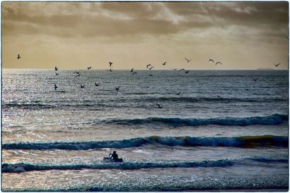  Bognor Regis - Gerry Atkinson