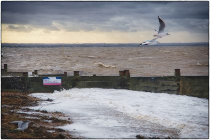 Storm Franklin- Gerry Atkinson