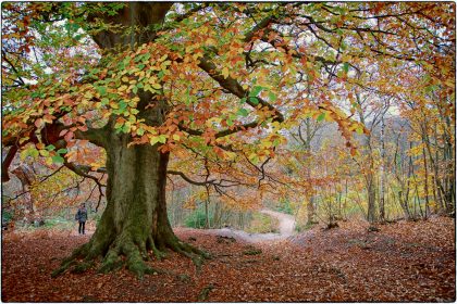 Perry Wood- Gerry Atkinson