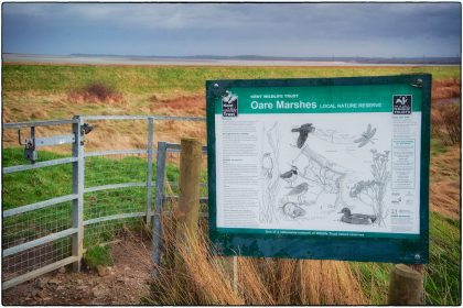 Oare Marshes - Gerry Atkinson