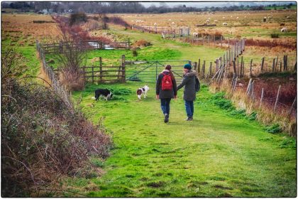 Oare Marshes - Gerry Atkinson