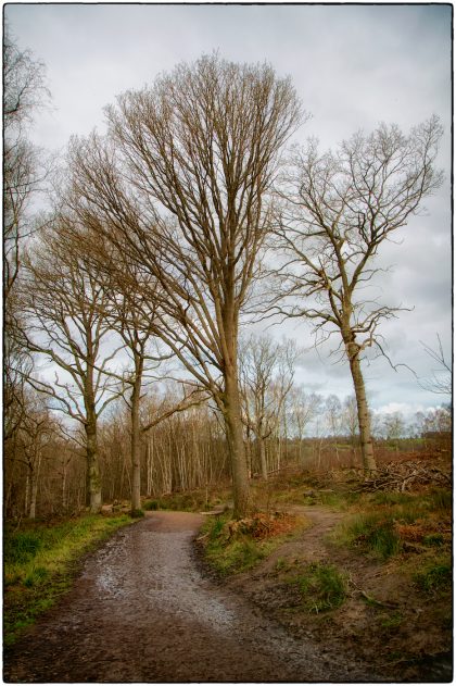 East Sussex Footpath- Gerry Atkinson