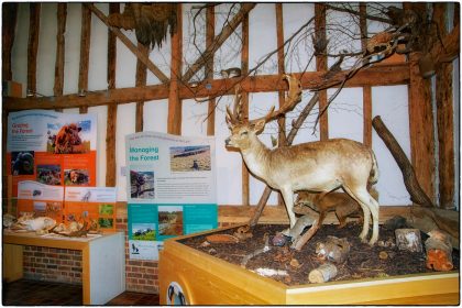 Ashdown Forest Visitor Centre- Gerry Atkinson