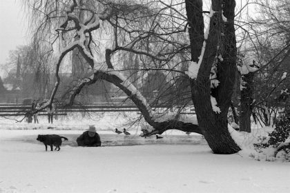 Pond Rescue, Clissold Park- Gerry Atkinson