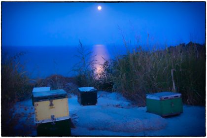 The Pelion Region of Greece - Gerry Atkinson