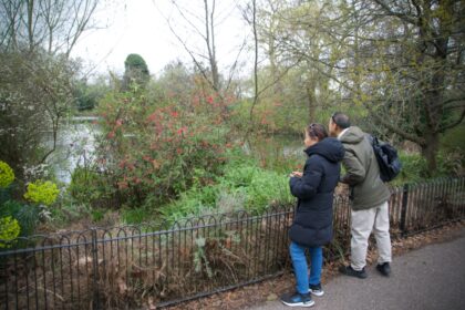 Battersea Park Visitors-Gerry Atkinson