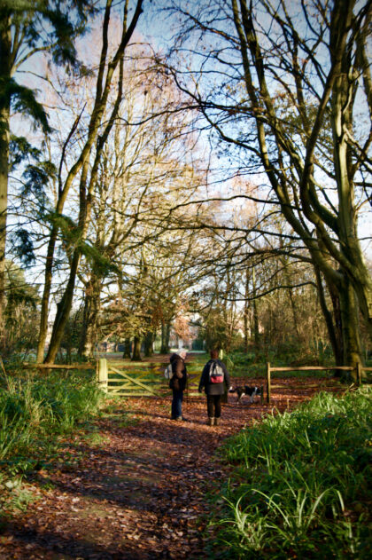 Kent woodland walk- Gerry Atkinson