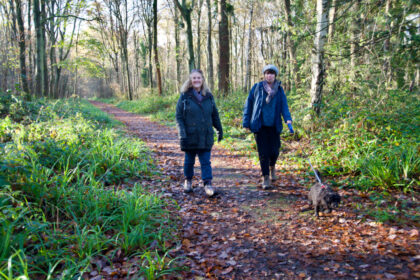 Kent woodland walk- Gerry Atkinson